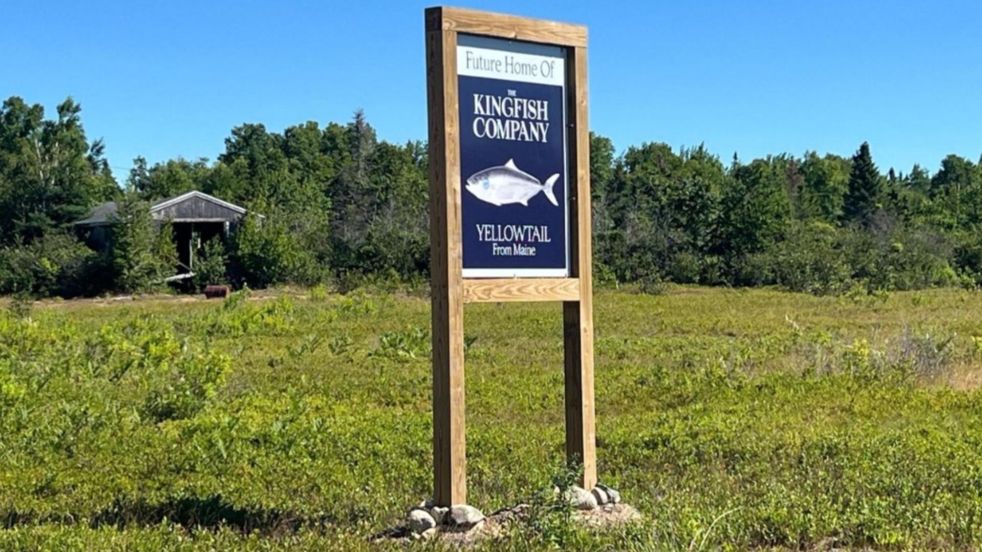Proposed Kingfish aquaculture project in Jonesport on indefinite hold