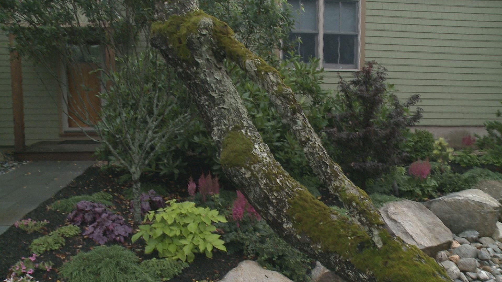 On site with landscape designer Ted Carter | newscentermaine.com