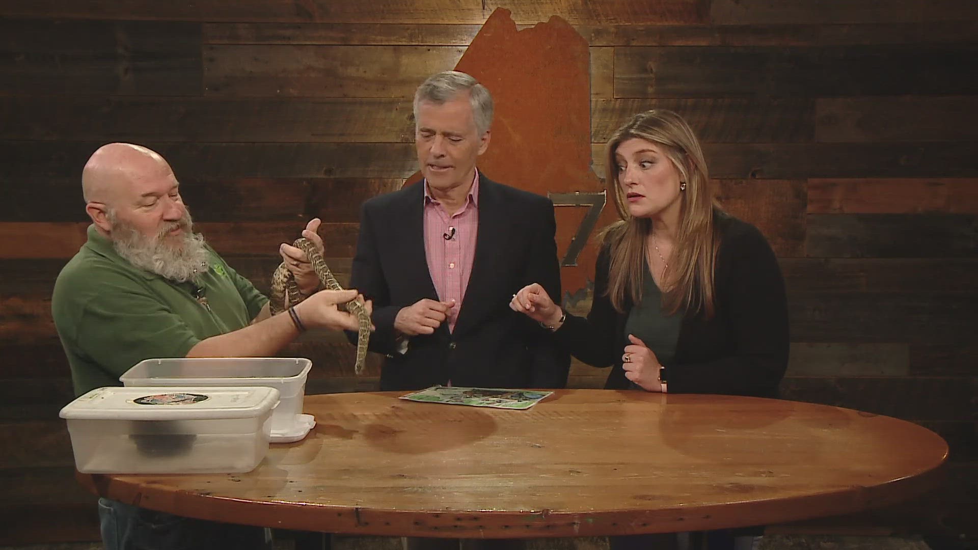 Andrew Desjardins with Mr. Drew and His Animals Too stops by the 207 studio to teach us about some reptiles that don’t make the best pets.