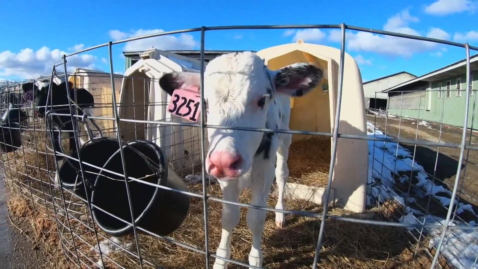 The Maine Dairy Industry Association and the Eastern Maine Development Corporation, which is based in Bangor, have teamed up to try and strengthen the workforce.