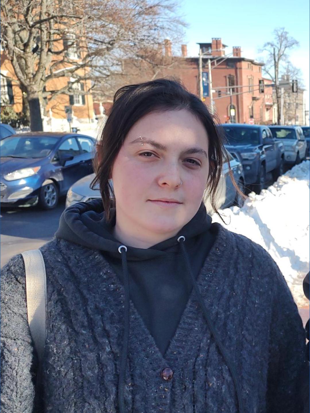 Homeland Security officials inform court Maine ICE-watchers are not in ...