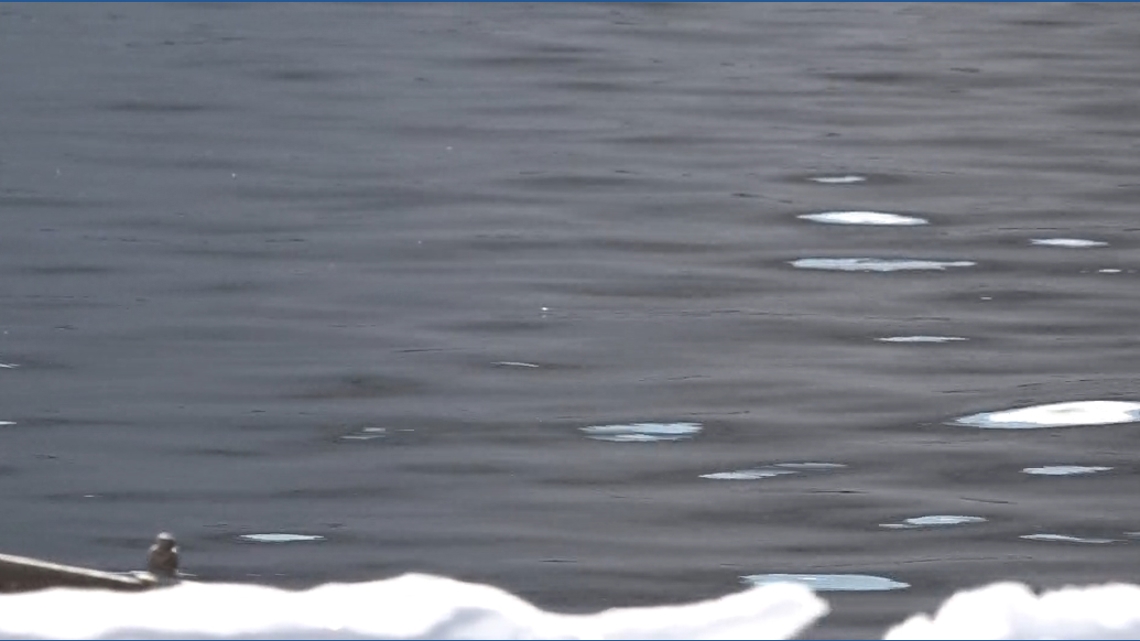 Bangor's century-old sewer upgrade faces funding hurdles