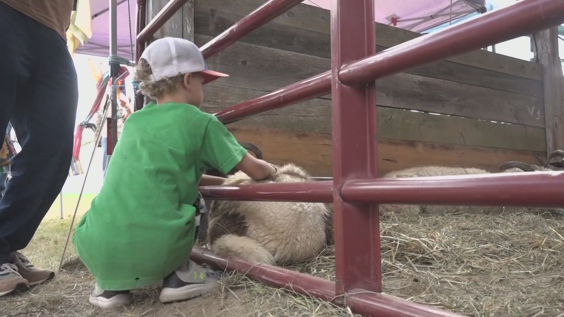 According to the event's hosts, the Maine Organic Farmers and Gardeners Association, the event celebrates the rural and agricultural aspects of Maine.