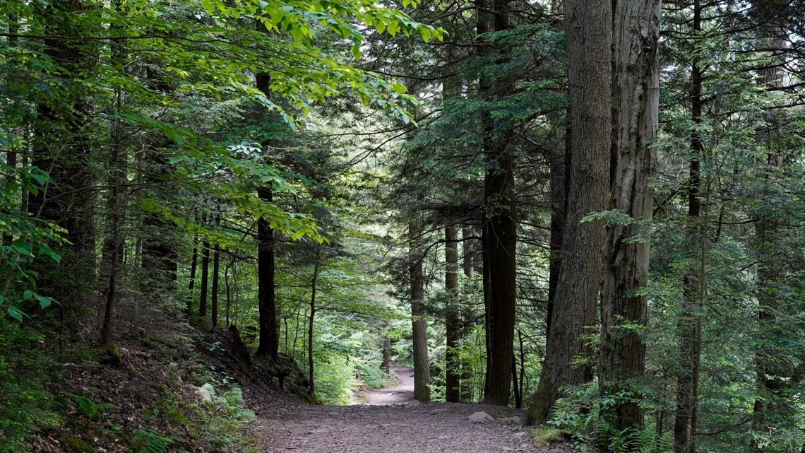 Two 18-year-old hikers rescued on Mount Monadnock in New Hampshire