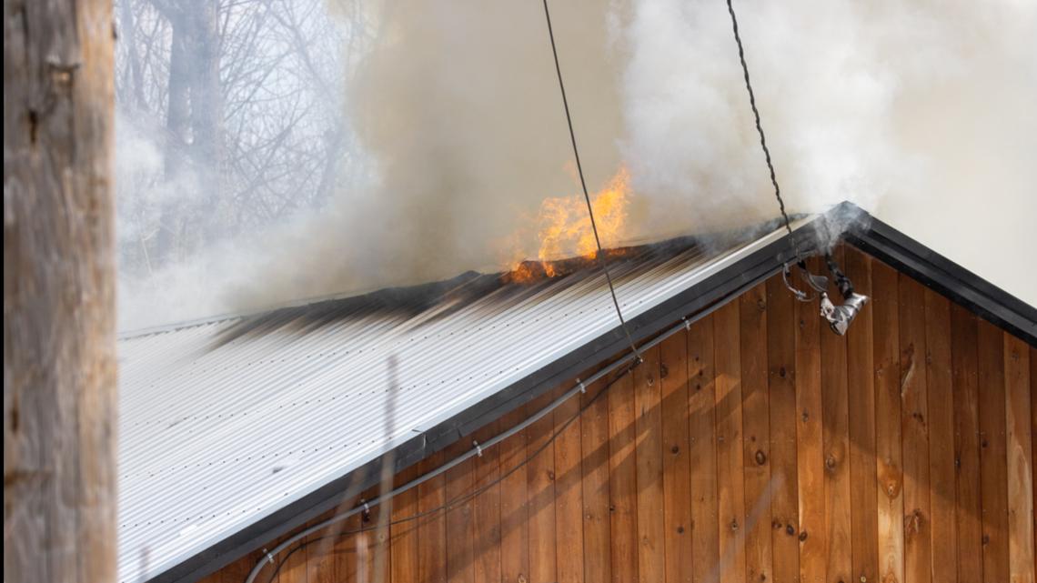 Belgrade house fire kills two dogs