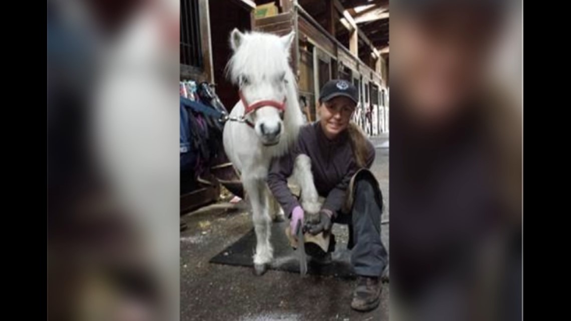 High school student creates antibiotic alternative for horses - Vimarsana News