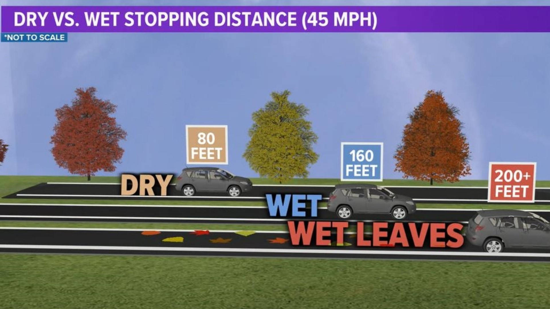 The leaves can increase the distance it takes your car to stop, as well as clog up storm drains and make the roads