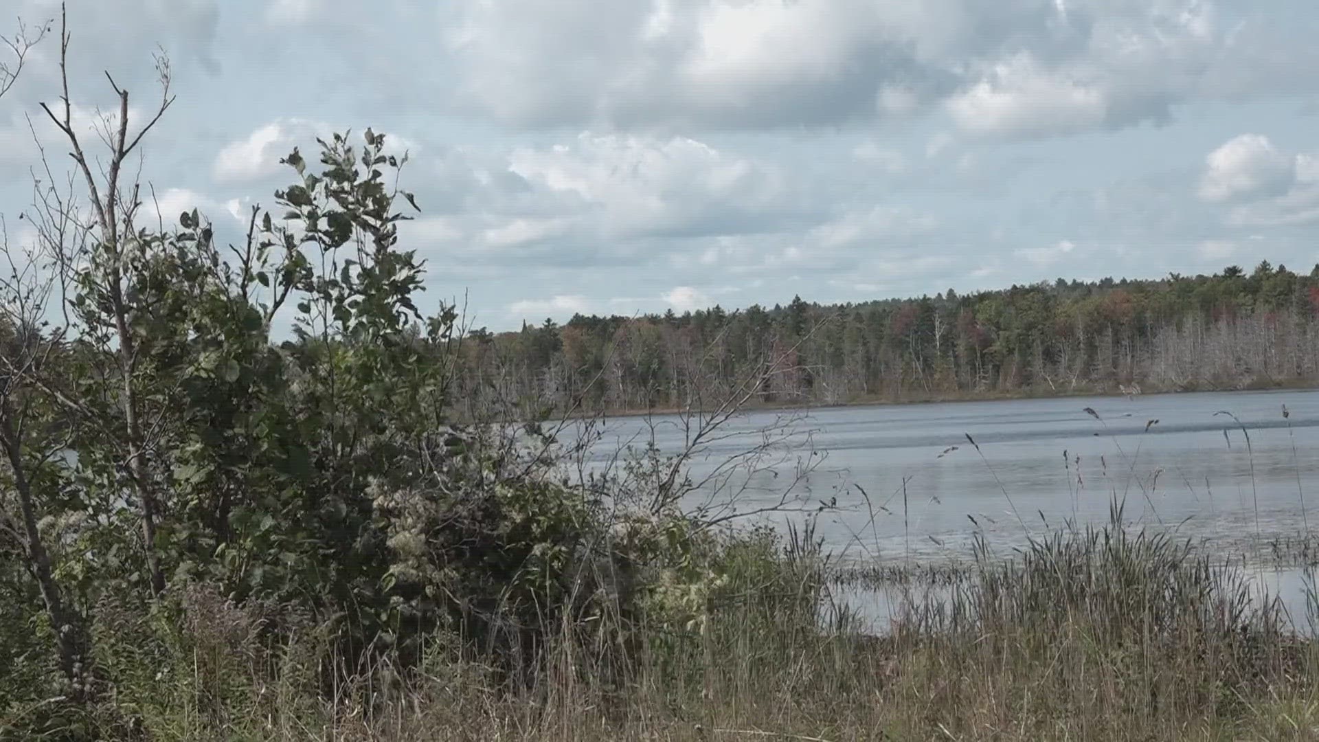 Forest Society of Maine is conserving Scammon Ridge in Greenville.