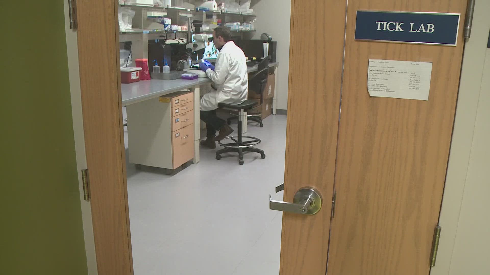Experts at the UMaine Tick Lab say the recent storm made a small dent in tick activity, but it won't slow down their expansion into new areas of the state.