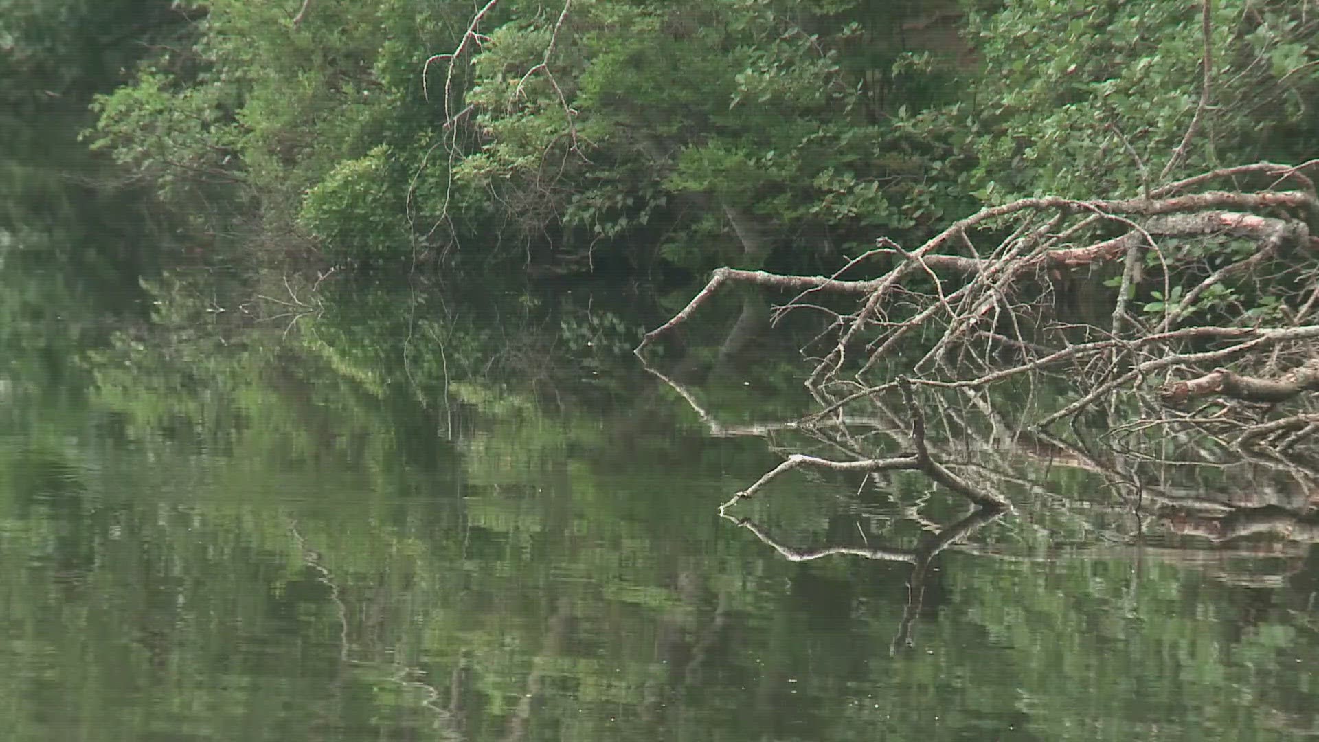 City officials advise visitors of Hinckley Park to avoid contact with water in the ponds for the time being.