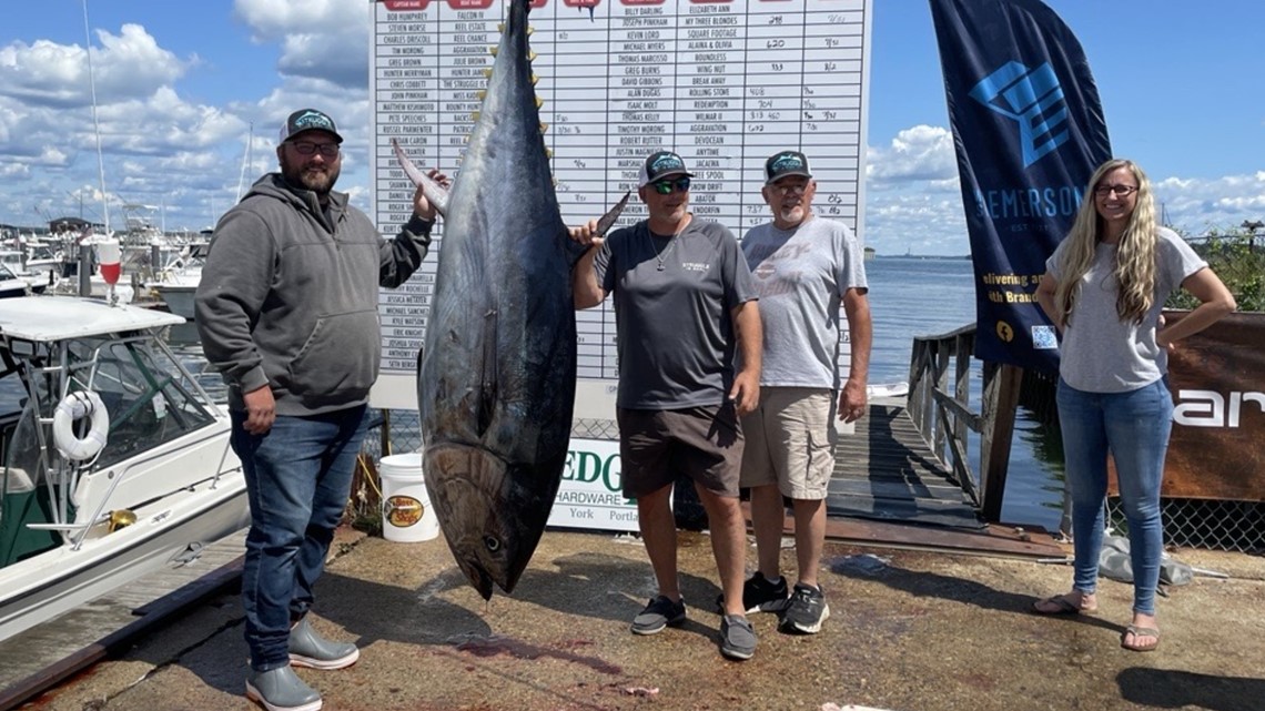 Casco Bay Bluefin Bonanza helps more than the fishery - Vimarsana News