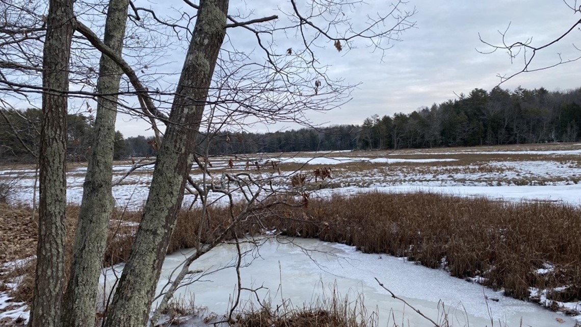 Effort to preserve Cousins River Fields and Marsh hits milestone - Vimarsana News