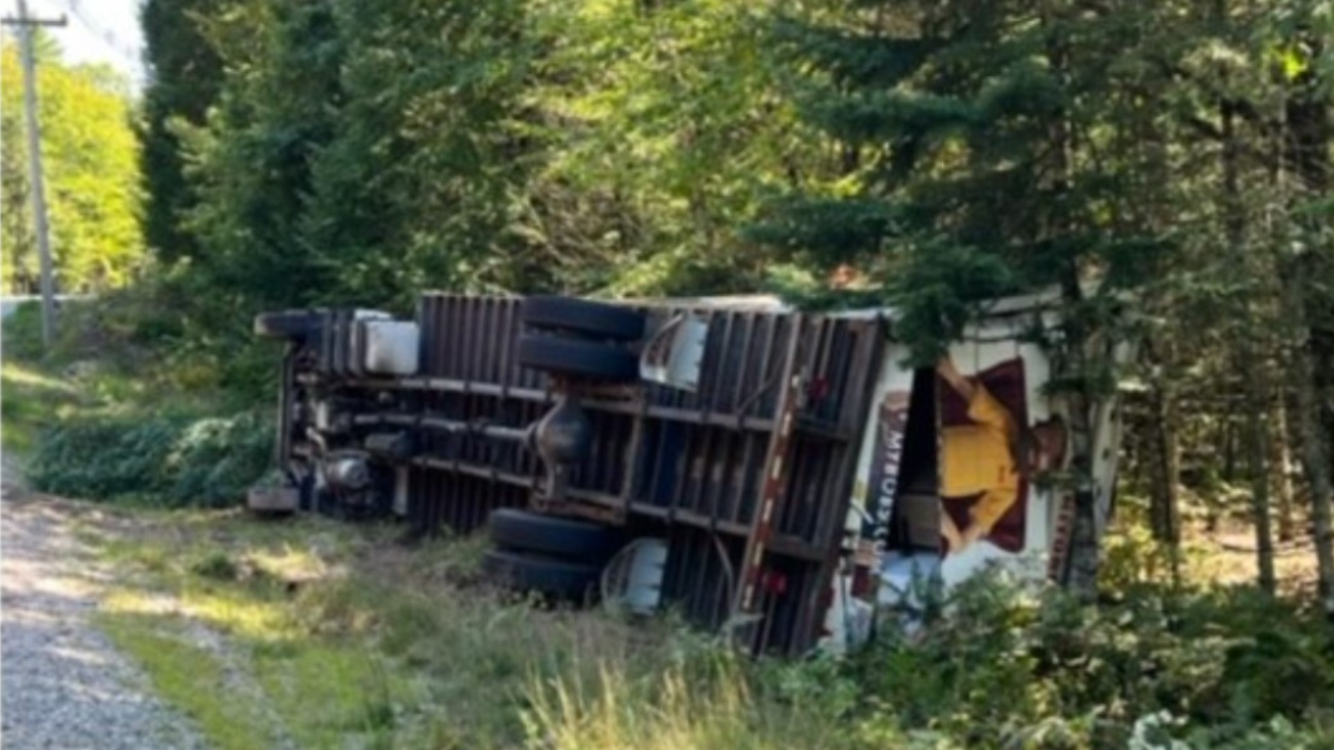 Box truck overturns off roadway in Casco