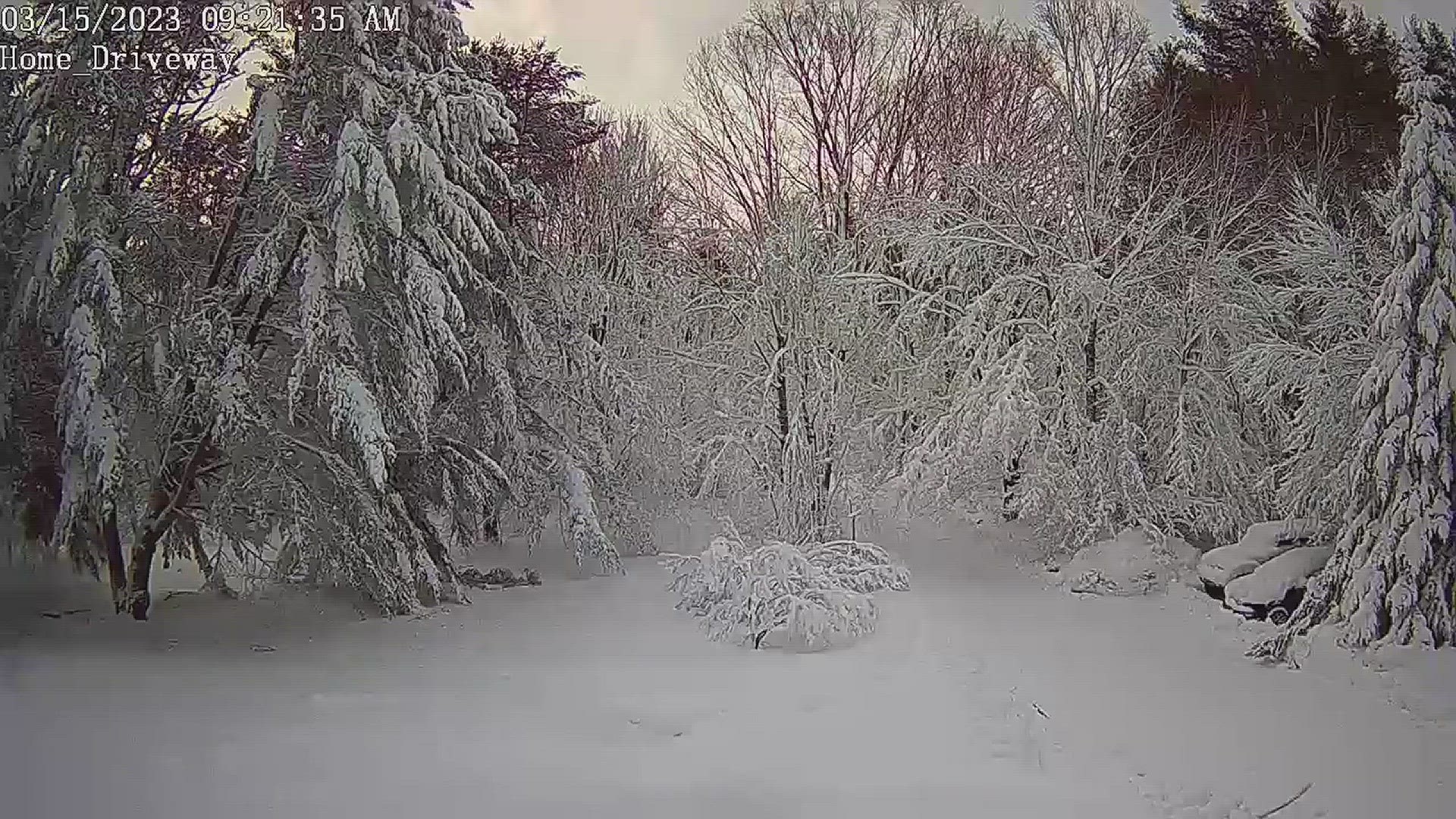 My security camera caught a tree in my front yard collapsing under the snow. About 12"
Credit: Rebecca Waddell