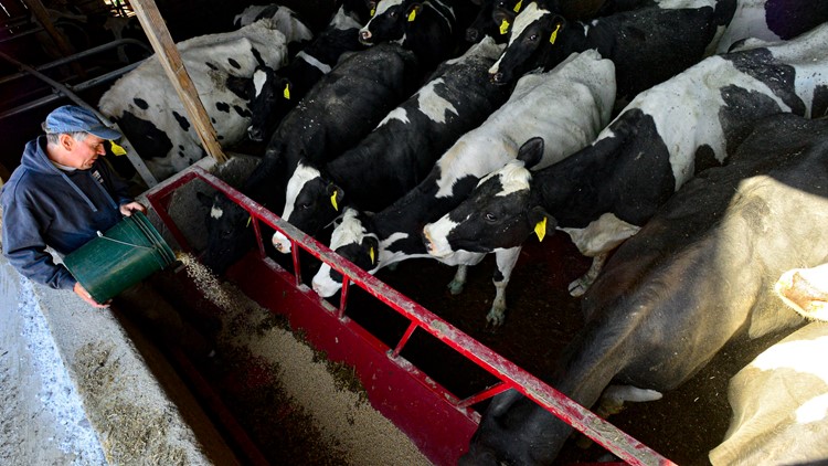 Consumers asked to support Northeast organic dairy industry