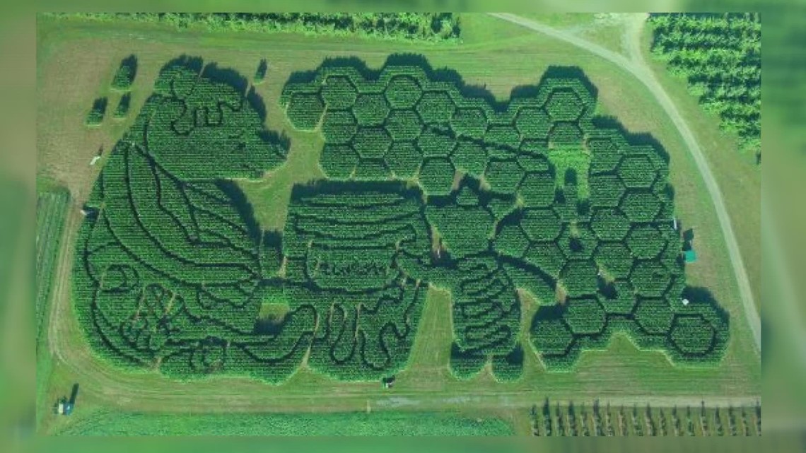 Maine farm wins national Best Corn Maze competition