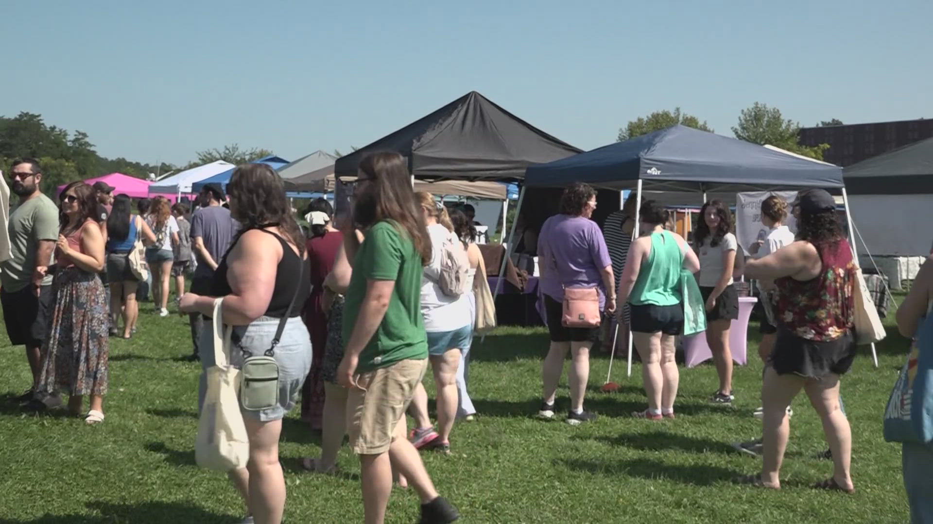 Local authors got the chance to share their work this weekend  at the 5th annual Maine Book Fest in Waterville.