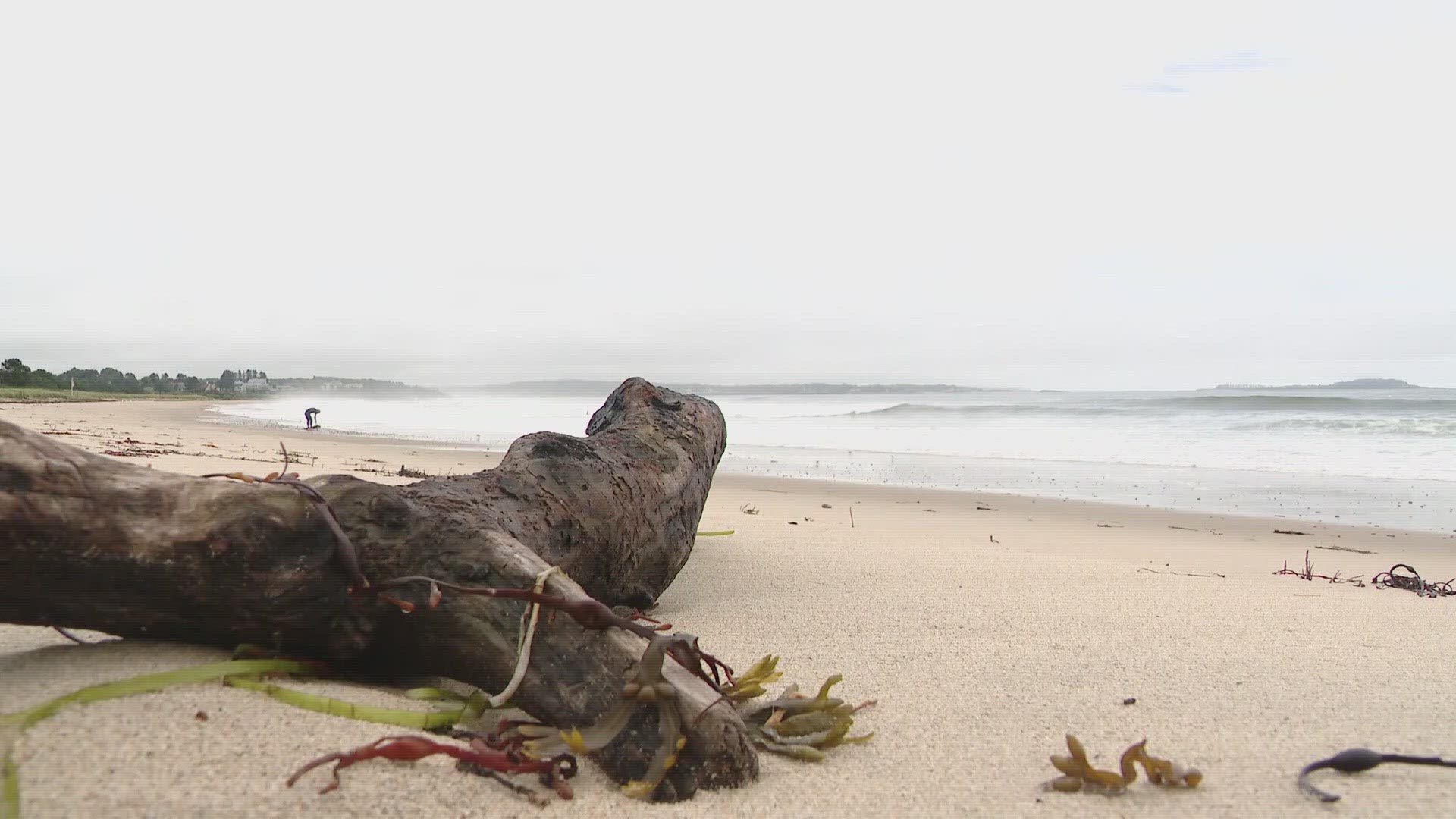 With the holiday weekend ahead, lifeguards and safety officials are preparing for potentially dangerous conditions.