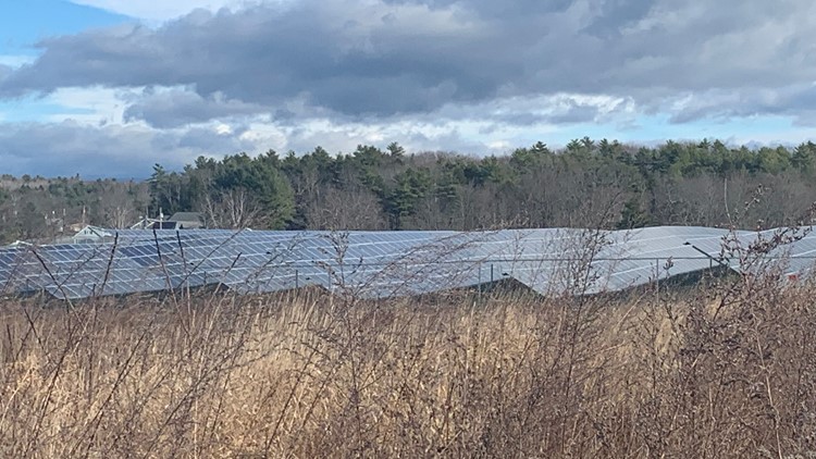 Protecting wildlife habitat focus of a new Maine solar farm bill
