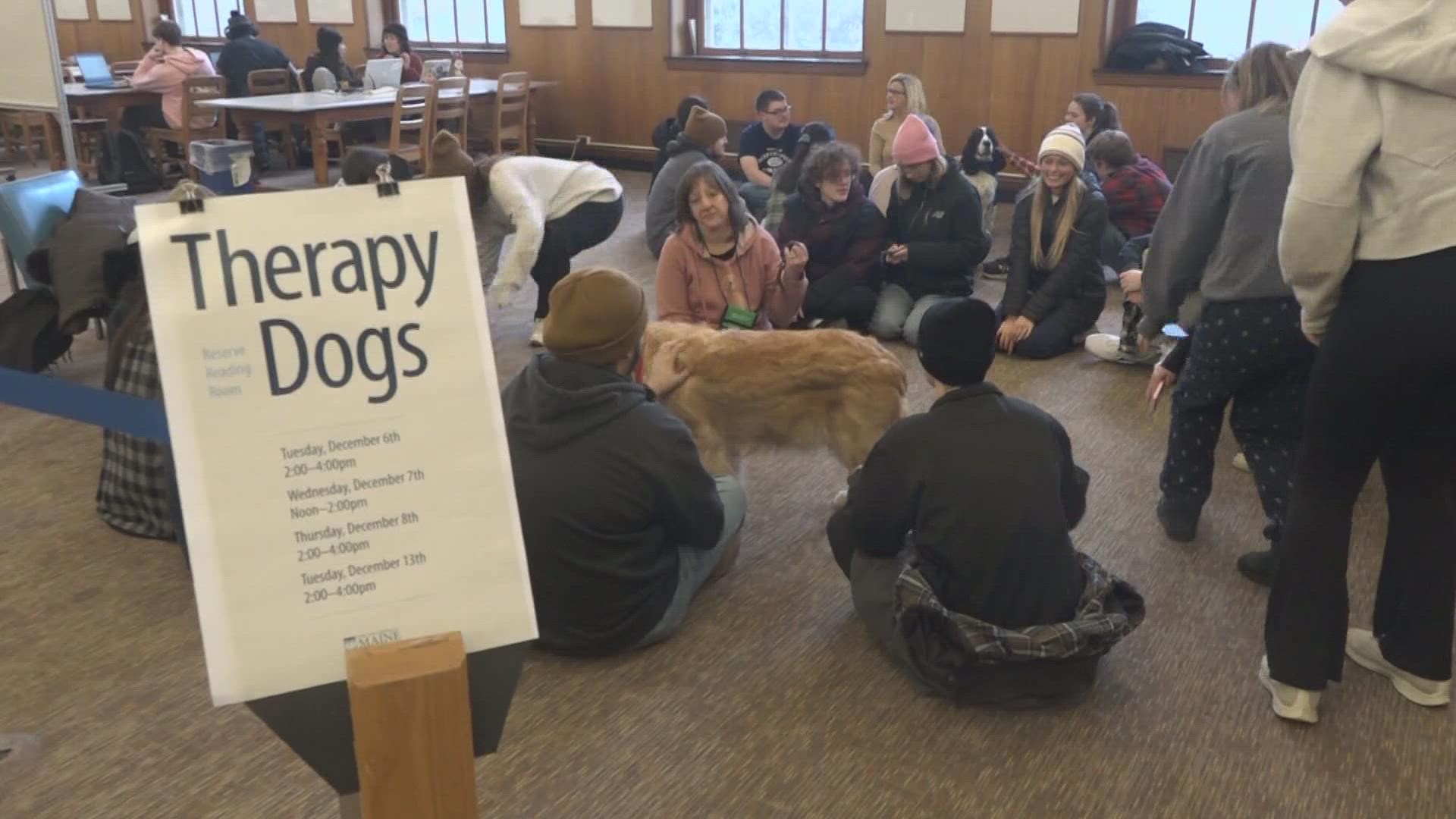 The University of Maine welcomed a few therapy dogs in the Fogler Library on Tuesday to help students de-stress after taking their final exams.
