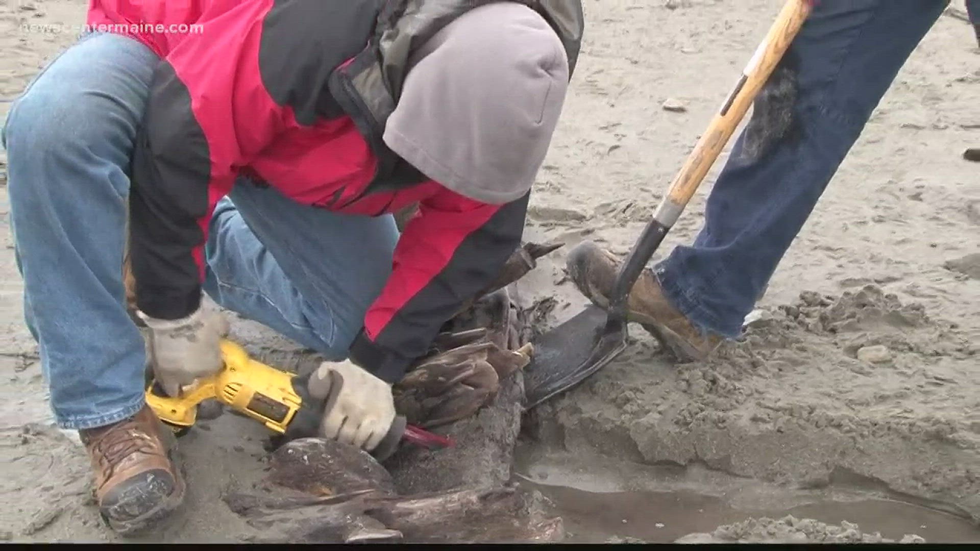 Police getting reports of shipwreck vandalism