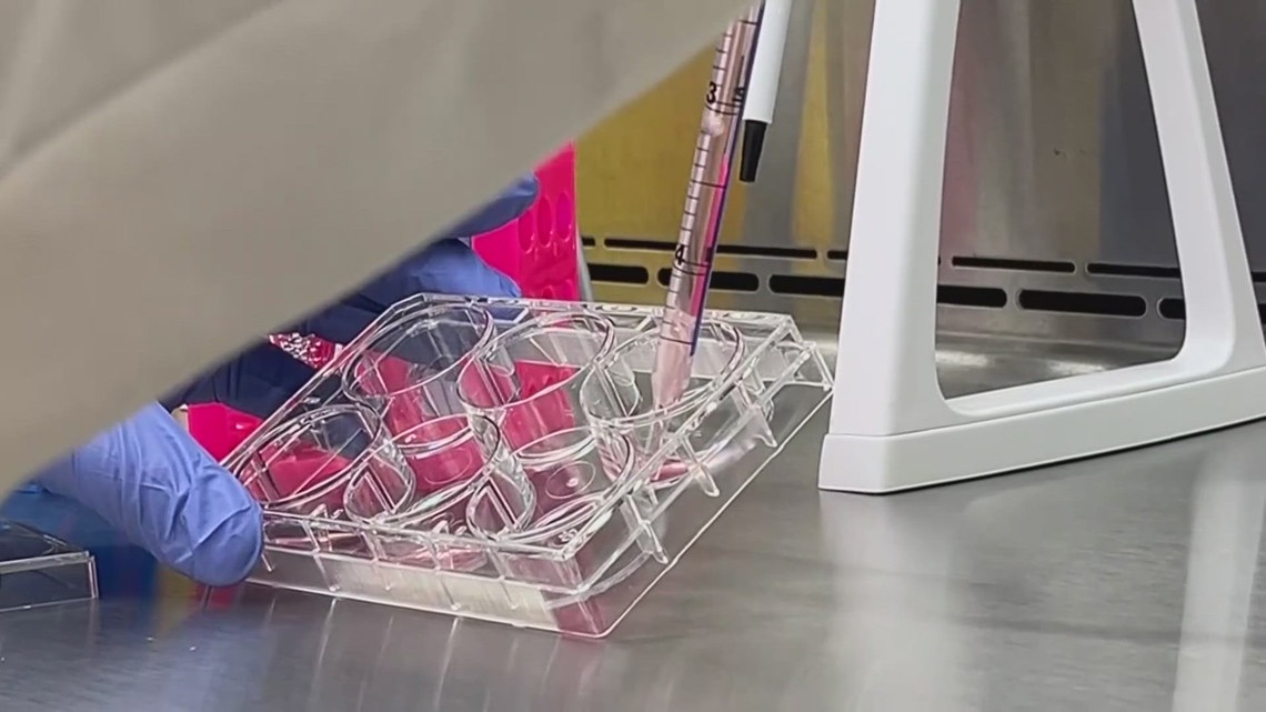 Maine cancer advocates urge support for legislation to reduce burden of health care costs