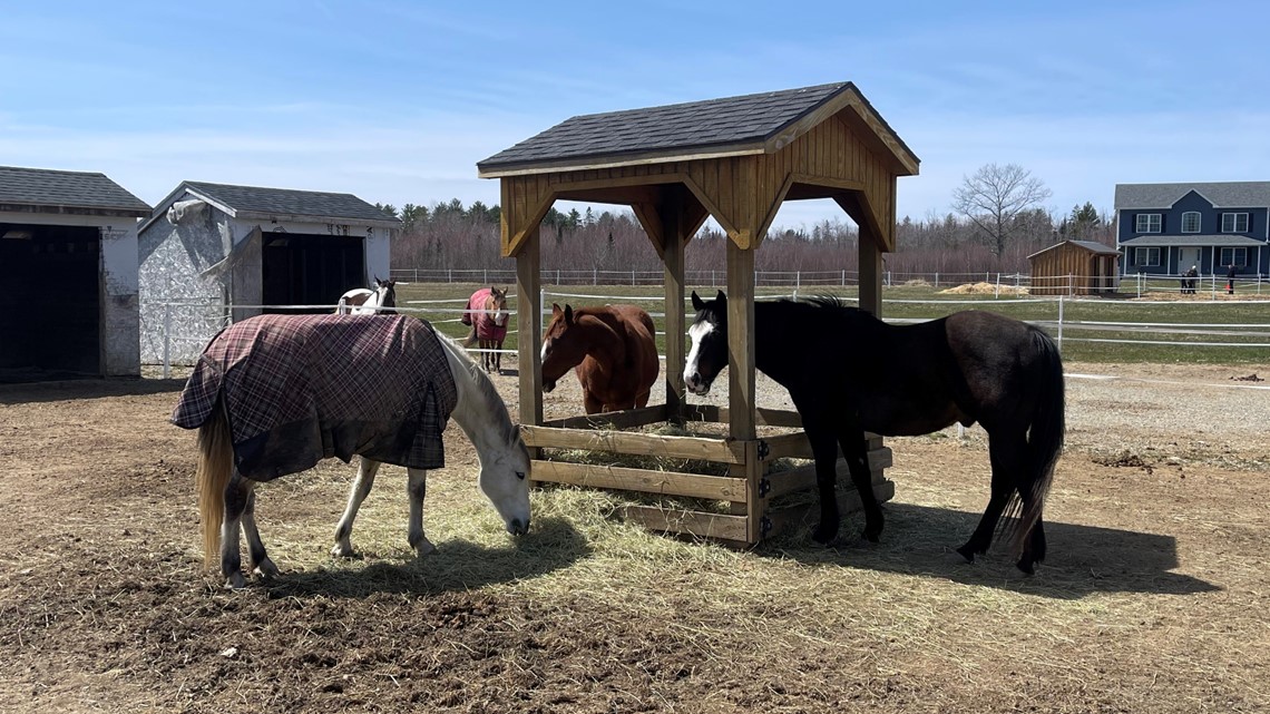 Three young Maine equestrians heading to Dressage Nationals