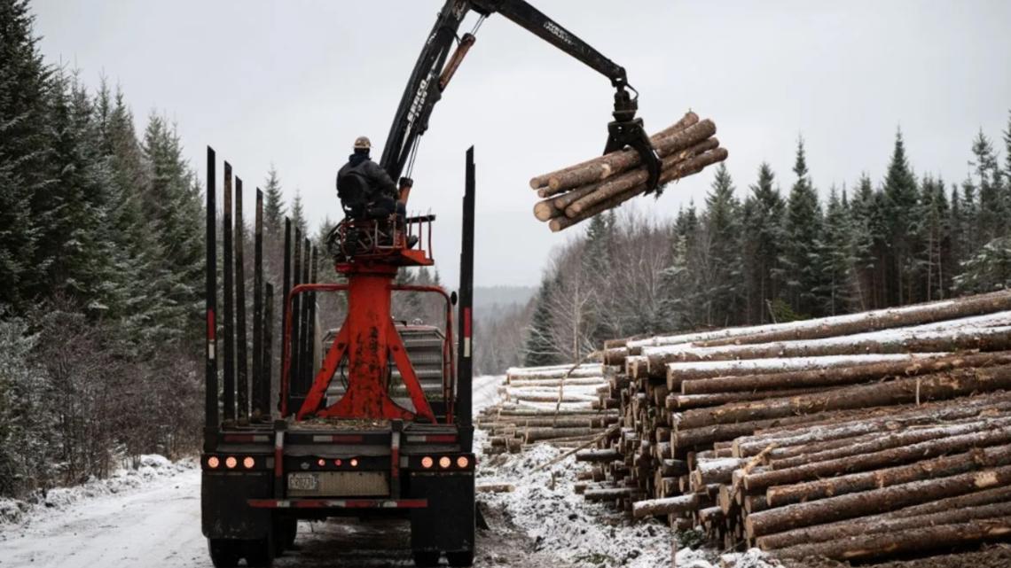 New guide to help loggers adapt to extreme weather
