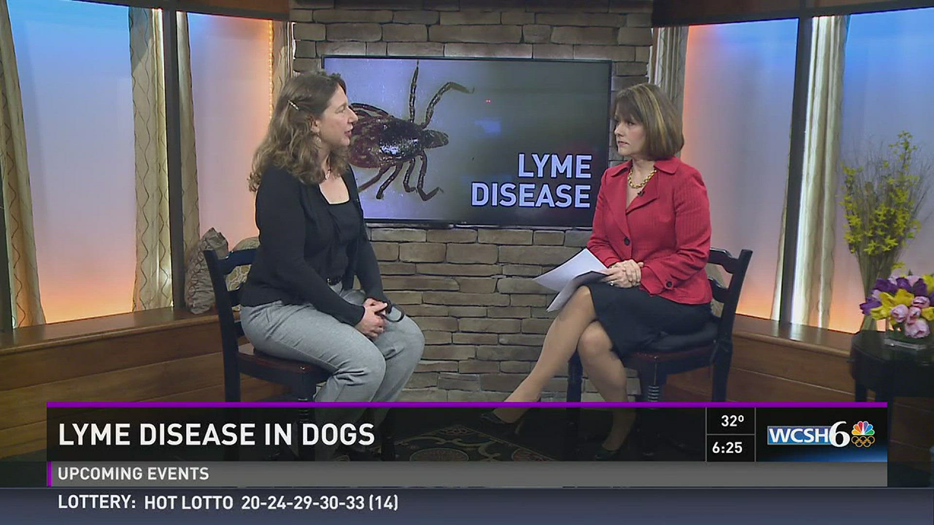 Lyme disease in dogs