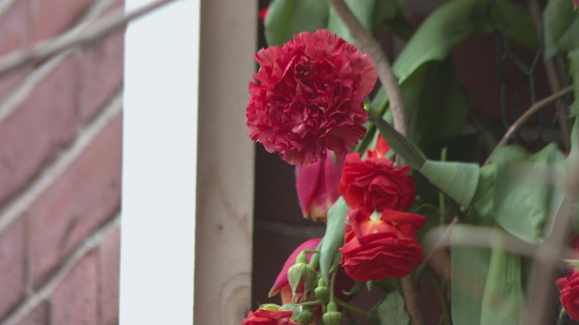 The unique event, which kicked off Wednesday, showcases floral displays from 21 talented Maine artists.