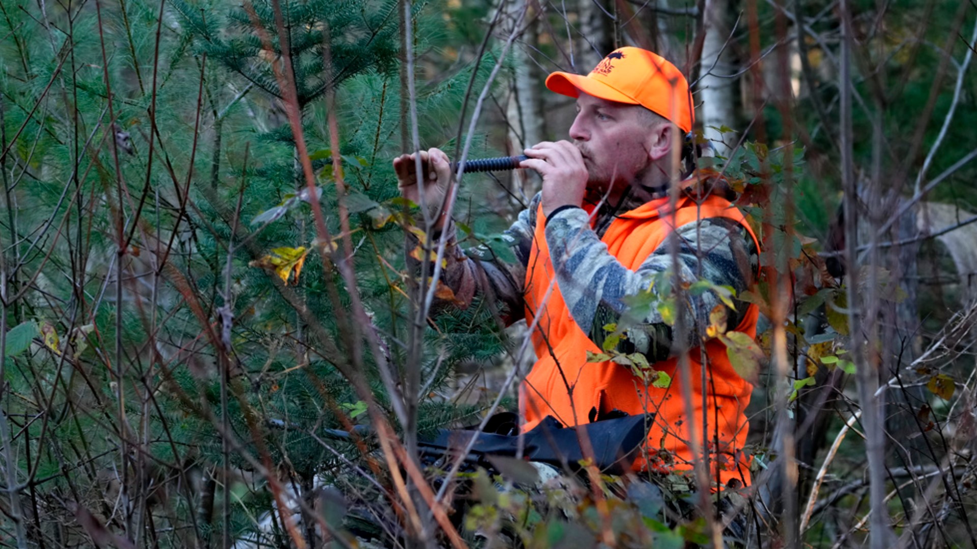 maine-massachusetts-consider-lifting-sunday-hunting-bans