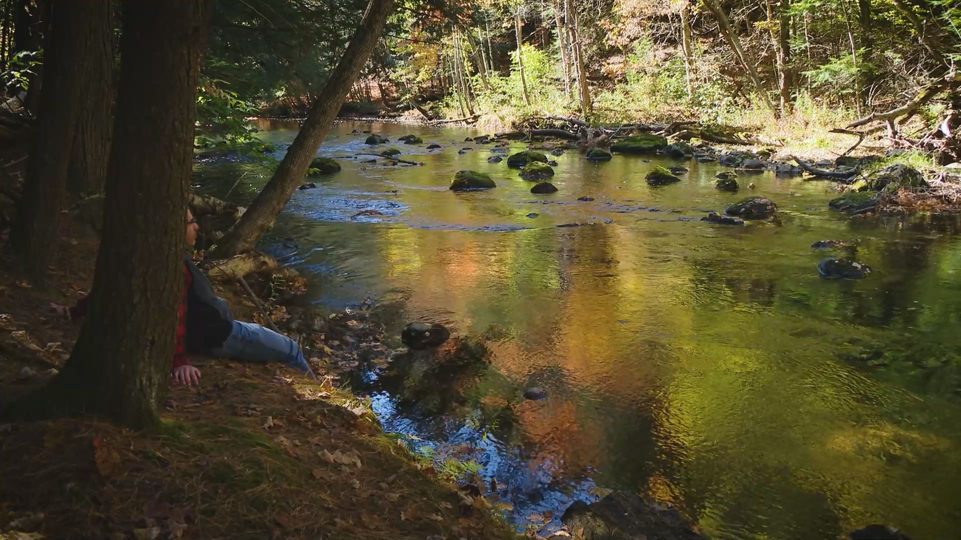 It's a small turn off along the Windham Center Road and it's easy to miss. The foliage here was incredible!