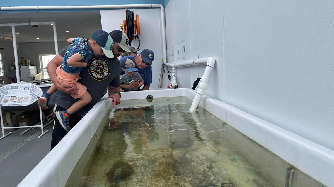 Wells Harbor Shellfish Lab in Wells, Maine is open