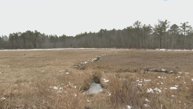 Nonprofit buying Maine marshes to allow for climate change-induced migration