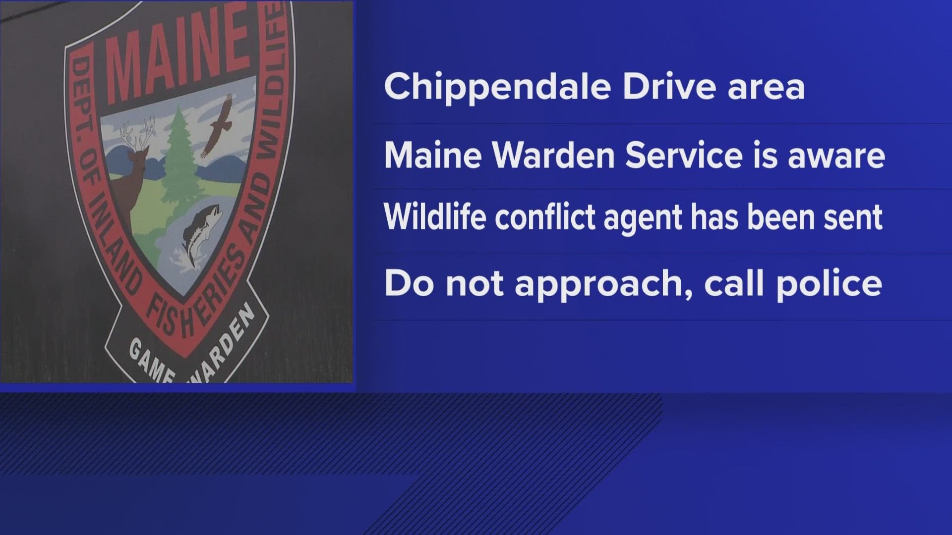 Sanford police said a possible rabid fox may be found in the Chippendale Drive area.