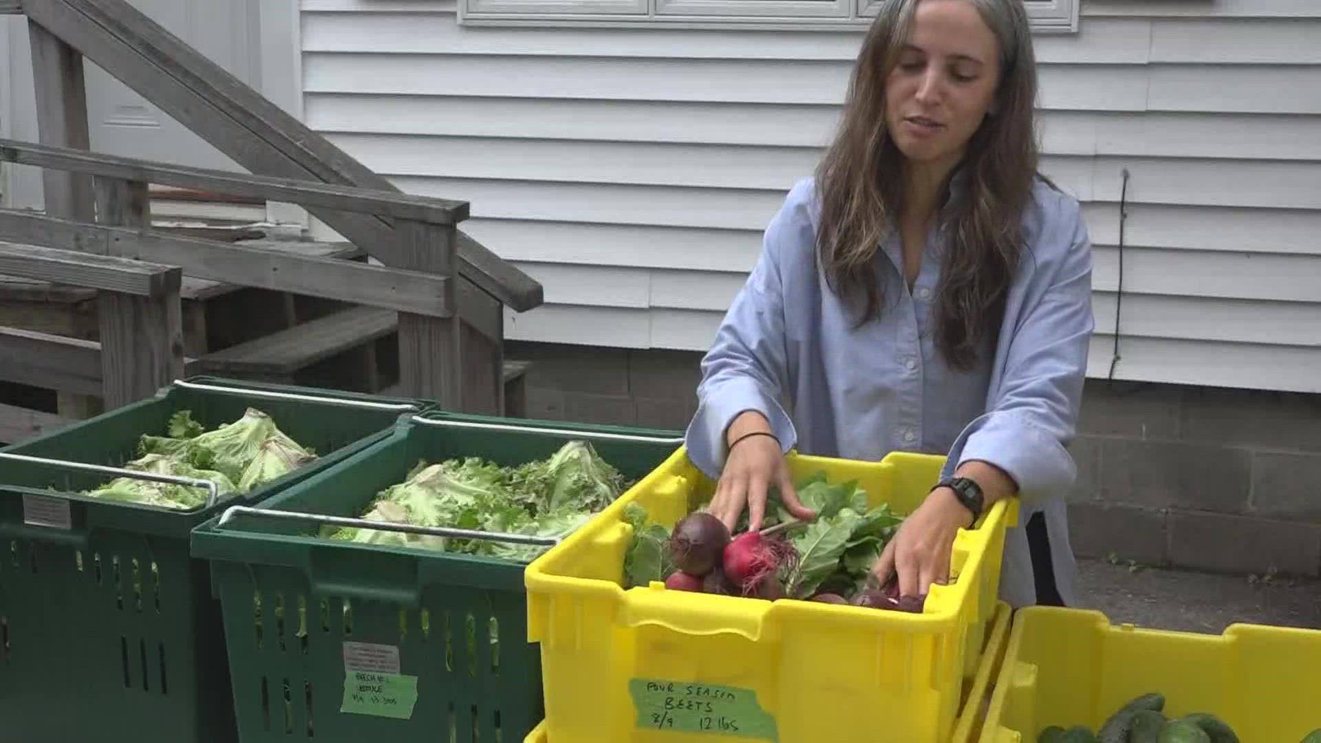 Every year, Healthy Acadia’s Downeast Gleaning Initiative partners with dozens of farmers to harvest and give extra produce to food pantries.
