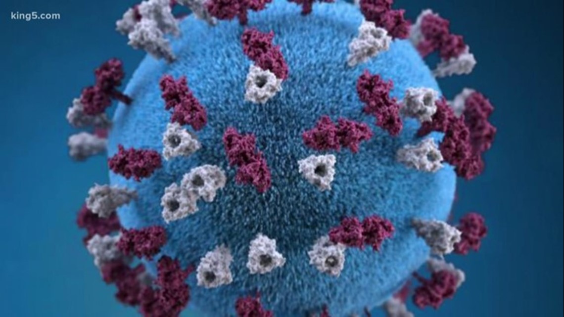 Maine CDC: Positive measles test result identified - Vimarsana News