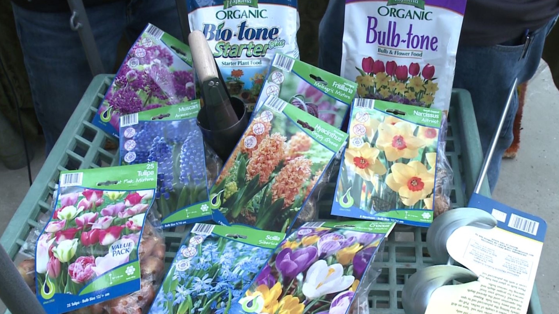 It's time to get bulbs in the ground! Gardening with Gutner talks to Tom Estabrook about how to have a successful planting for a beautiful spring.