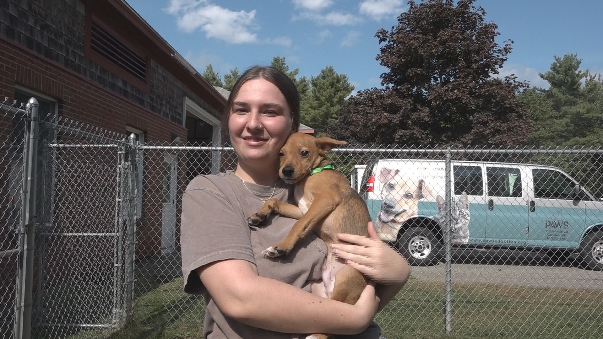 Six dogs are now in the care of PAWS Animal Adoption Center in Camden, thanks to a collaboration with the Bissell Pet Foundation.