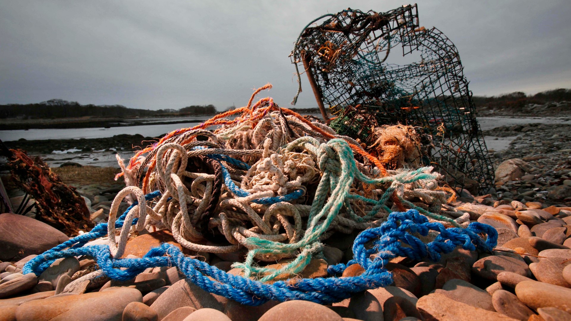 The proposed amendment would pause new regulations to the lobster industry for six years, which many fishermen say would lead to the industry's collapse.
