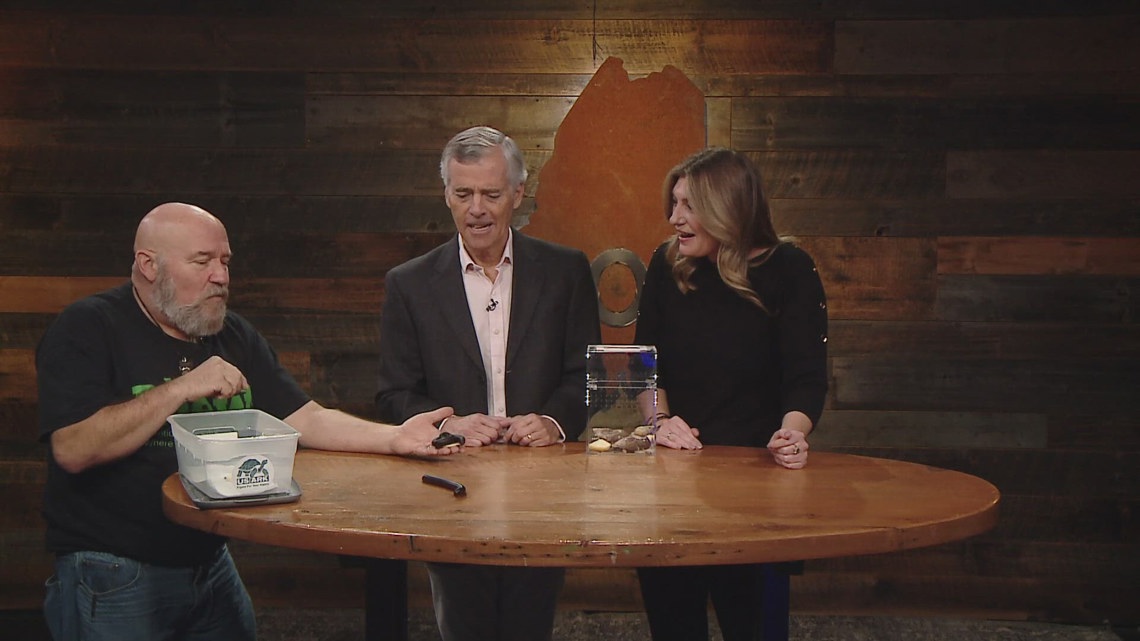 Mr. Drew and His Animals Too teaches us about two species found in Africa that you won’t see in Maine