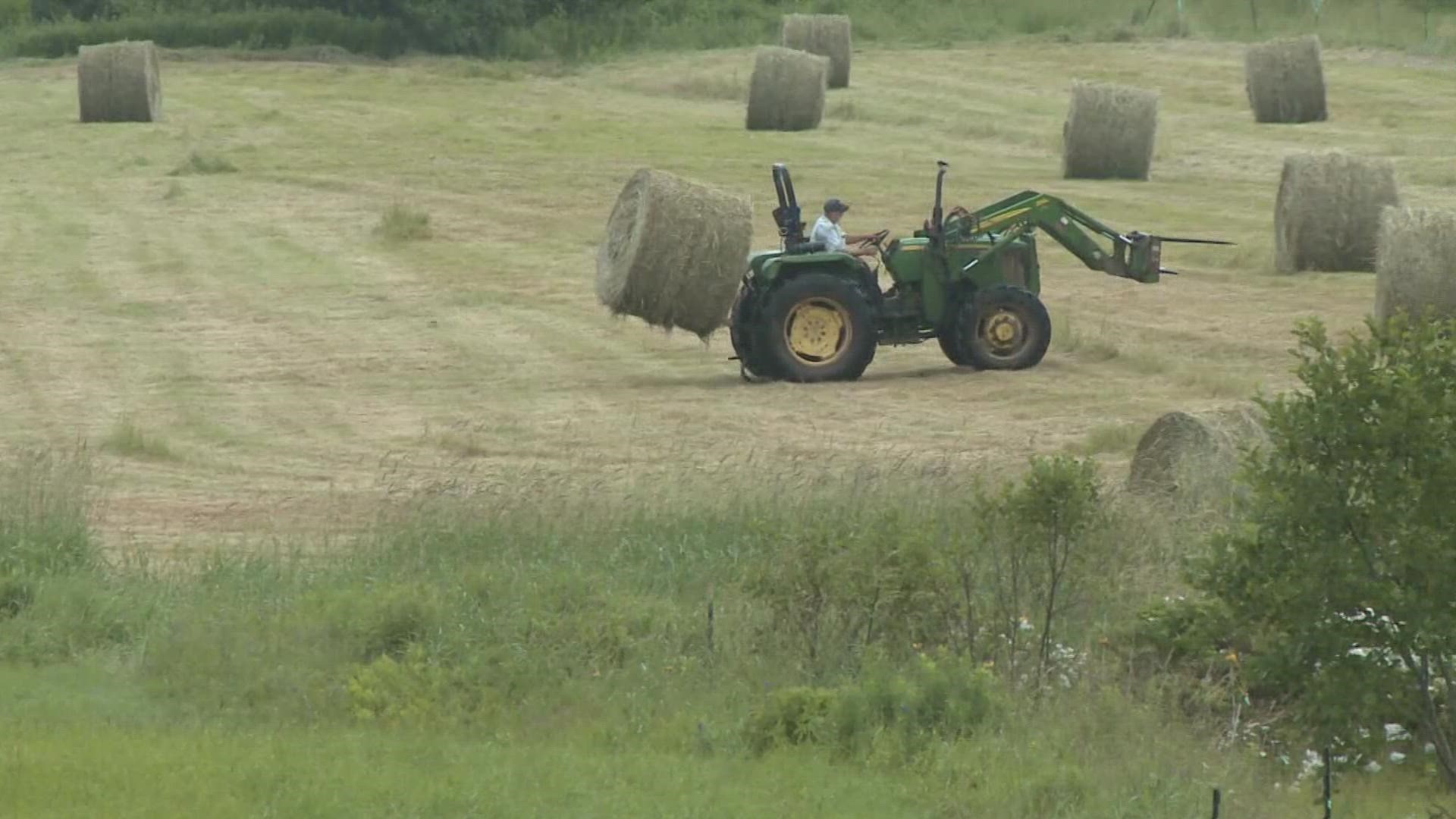 Sen. Susan Collins, R-Maine, plans to introduce a bill that would provide financial assistance to impacted farmers.