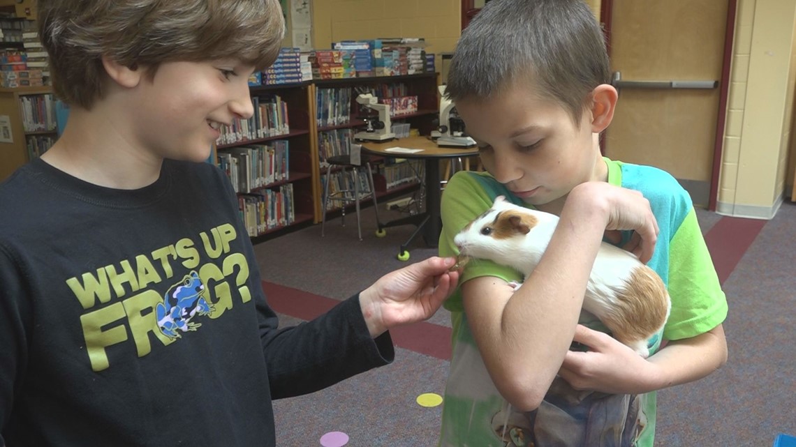 Library pet spreads joy at Maine's Old Town Elementary School - Vimarsana News