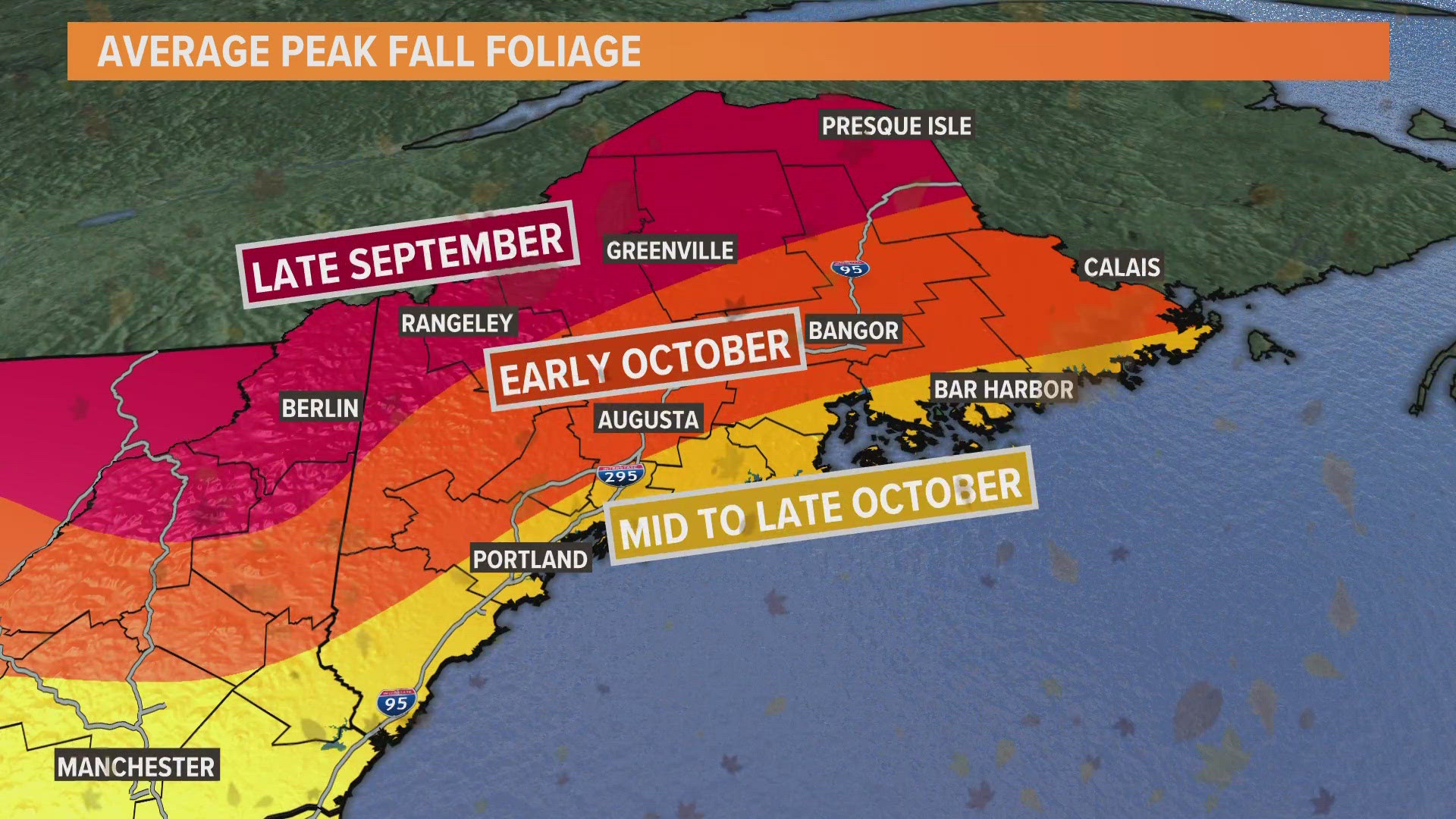 It feels like fall, and it's about to look like it.