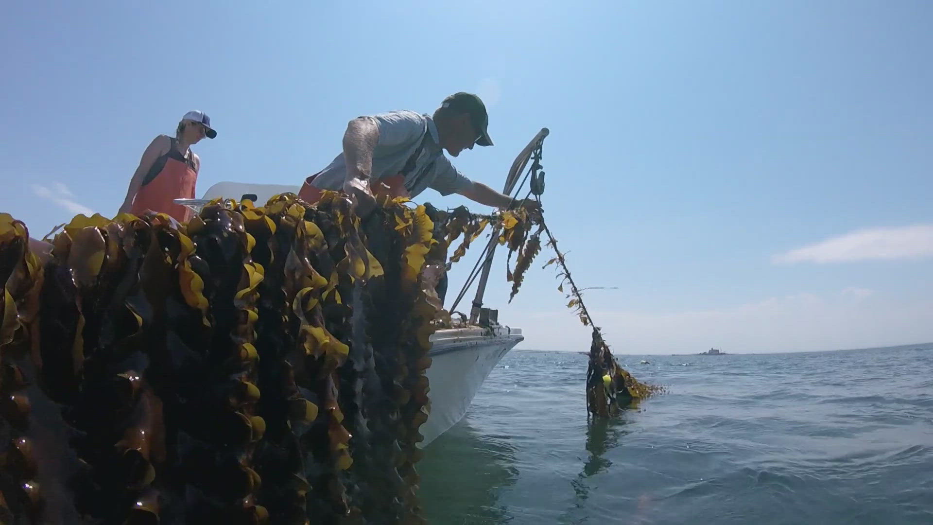 The USDA is providing nearly $1 million in grants to five projects in Maine that aim to strengthen the food-supply chain.