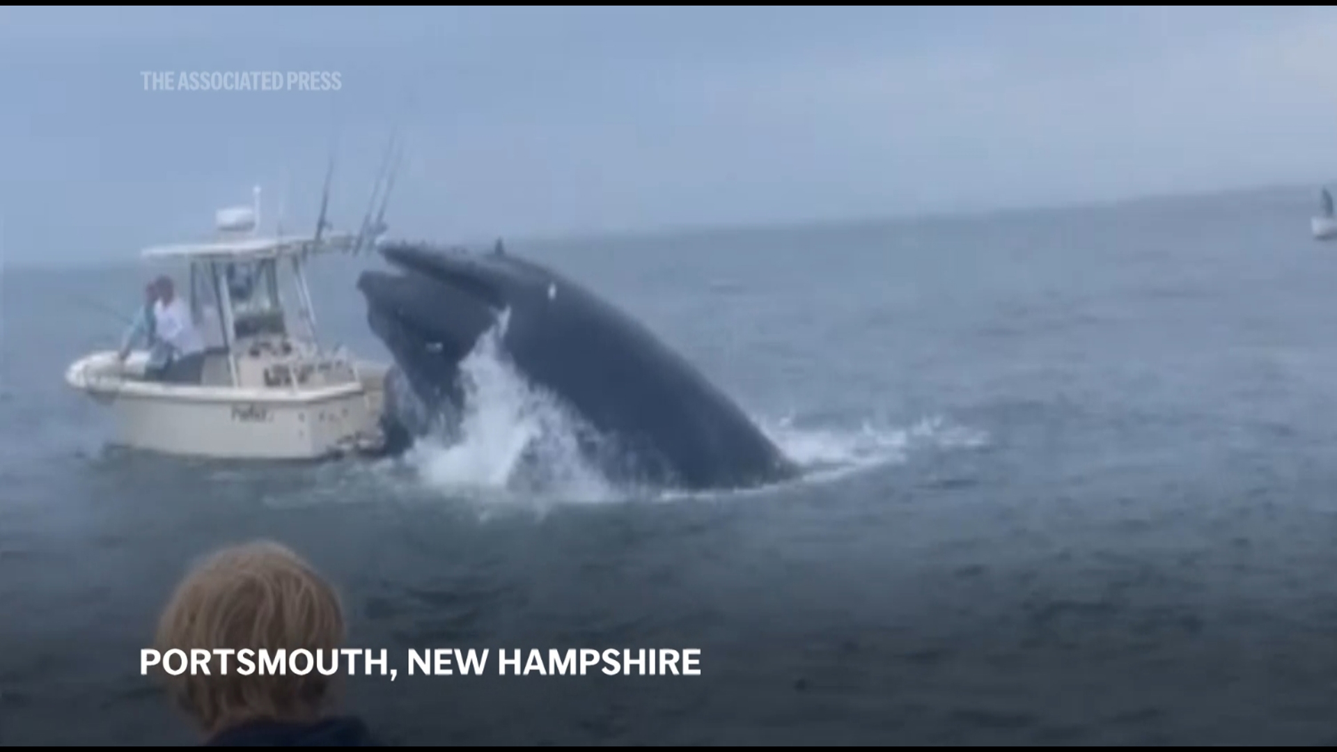 Two occupants of a fishing vessel are safe Tuesday after a whale surfaced under their boat, capsizing it off the New Hampshire shore.