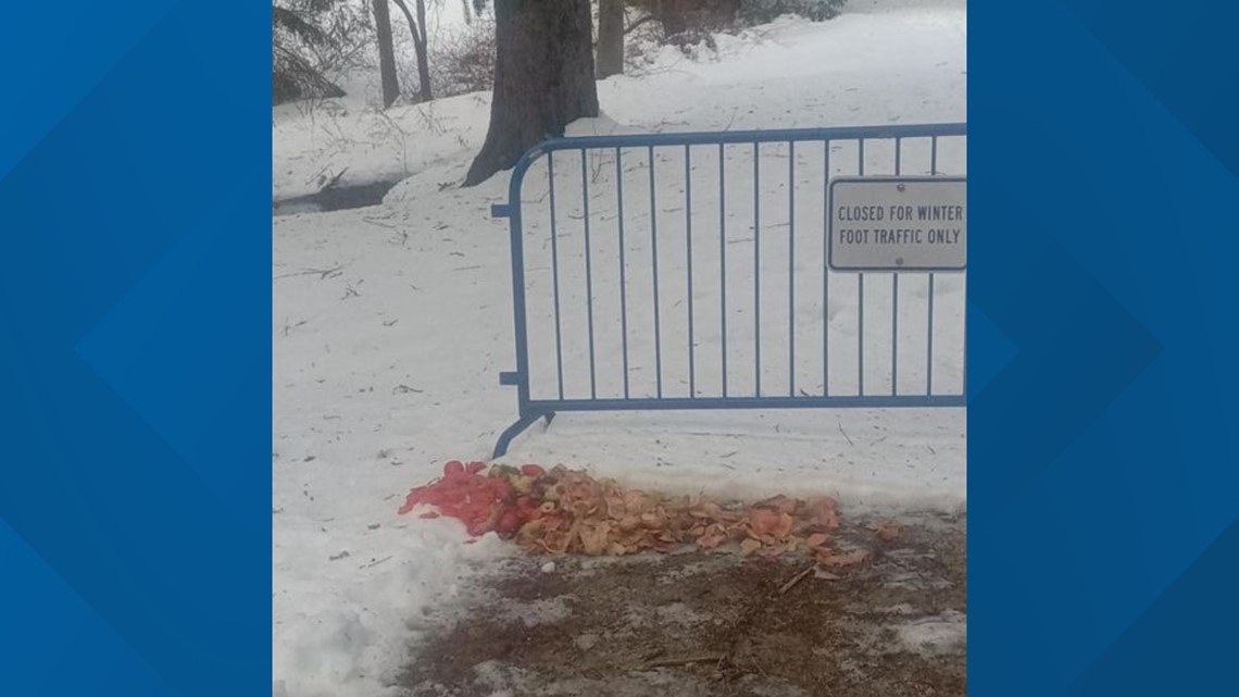 Bath Parks & Rec: Stop throwing tomatoes in Oak Grove Cemetery - Vimarsana News