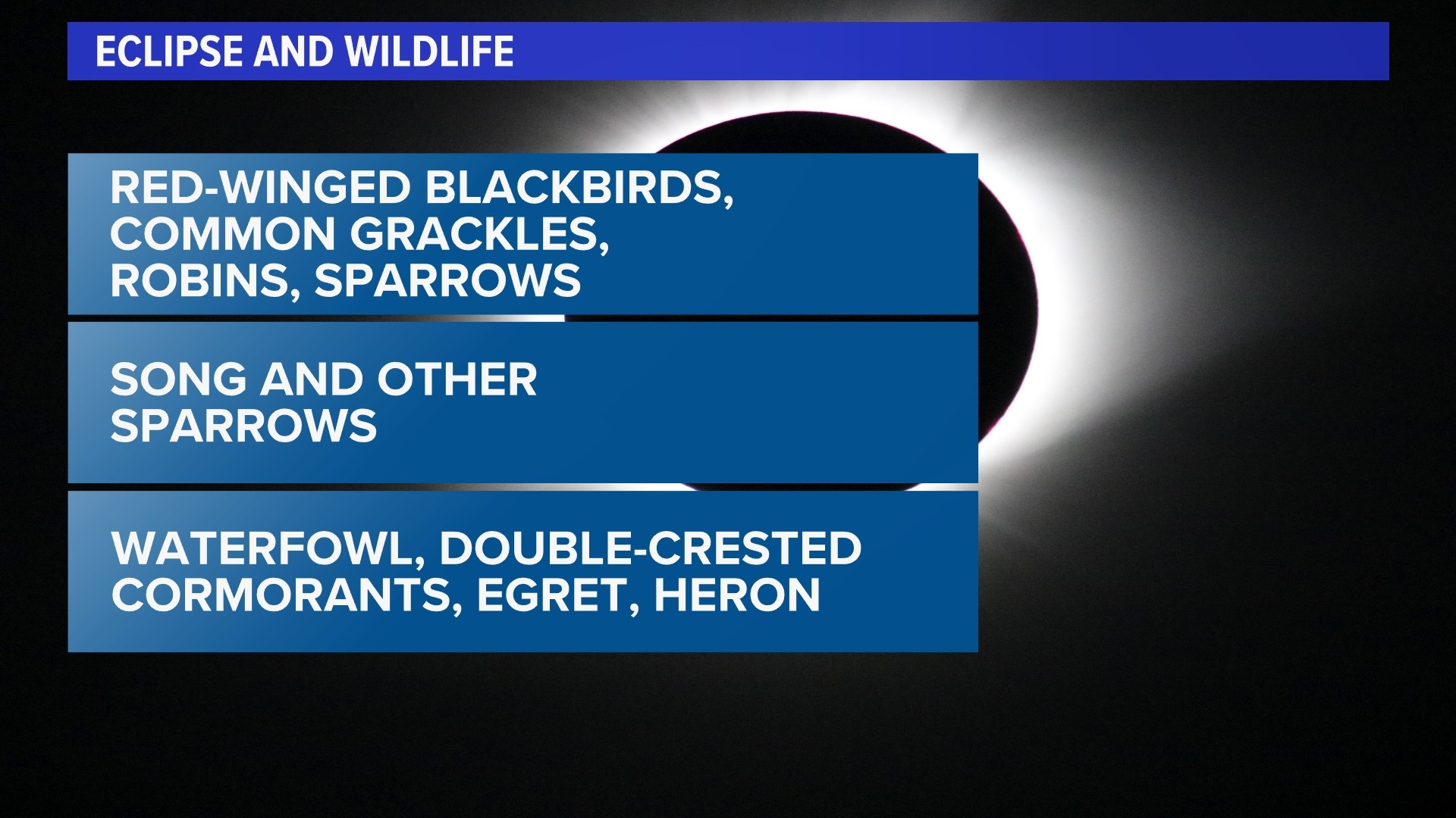 Eclipse: Wildlife, pets expected to act differently in totality ...