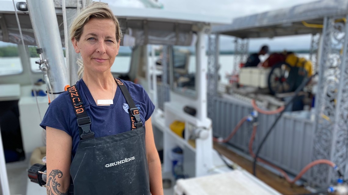 ME oyster farm looks to eliminate plastics in seafood packaging - Vimarsana News