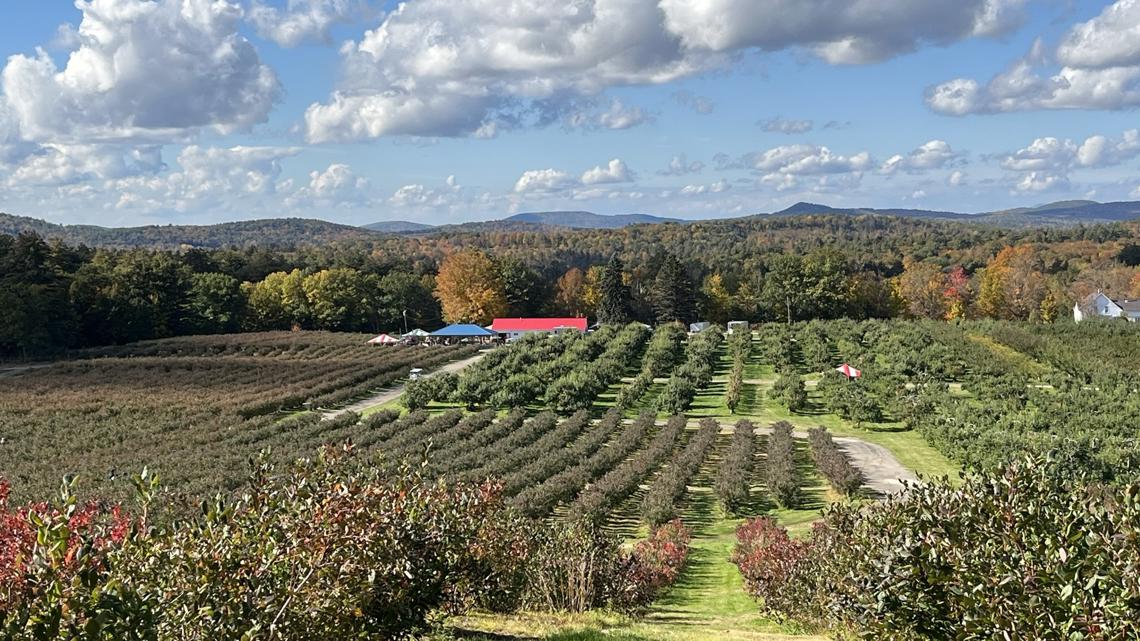 Some Maine farmers say they still want rain, just not on weekends - Vimarsana News